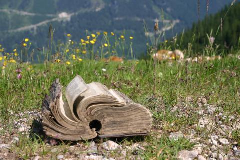 altes Buch auf Bergwiese